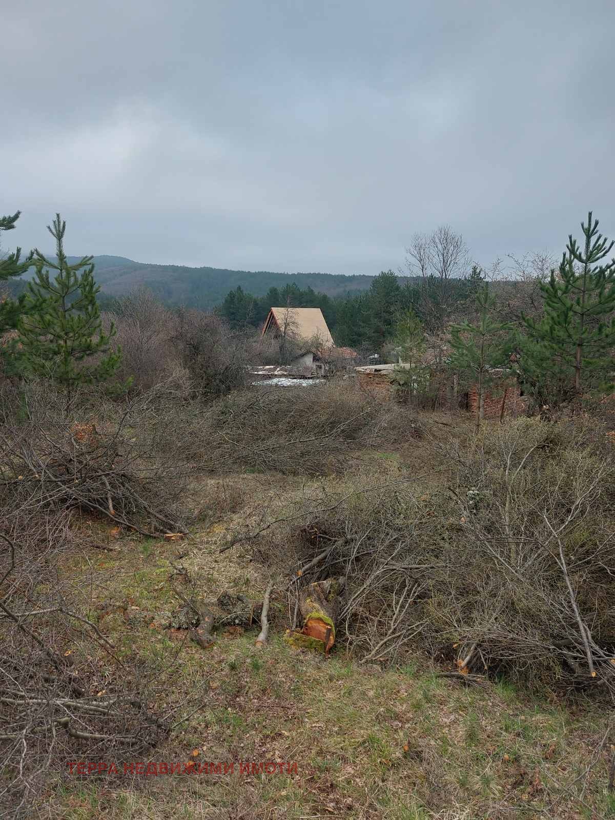 ������� ������ | Imot.bg � ����������� 8