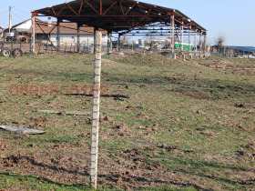 ����� ������� ����. ���������,������ ��� �85, ������ ����