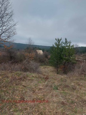 ������� ������ | Imot.bg � ����� ������ 7