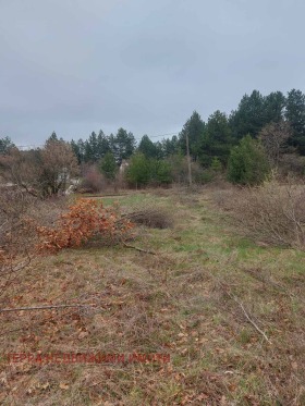 ������� ������ | Imot.bg � ����� ������ 9