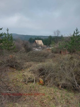 ������� ������ | Imot.bg � ����� ������ 8