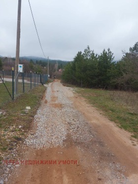 ����� ������� ������,���� �����, �. ��������