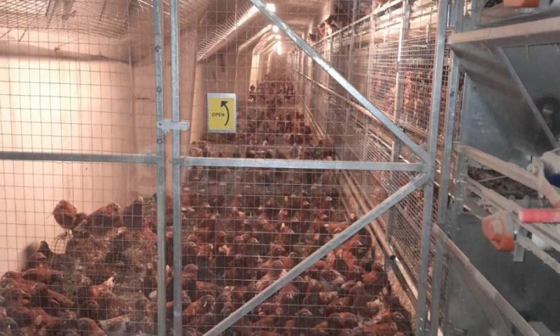 Продава БИЗНЕС ИМОТ, гр. Попово, област Търговище, снимка 6 - Други - 52317203