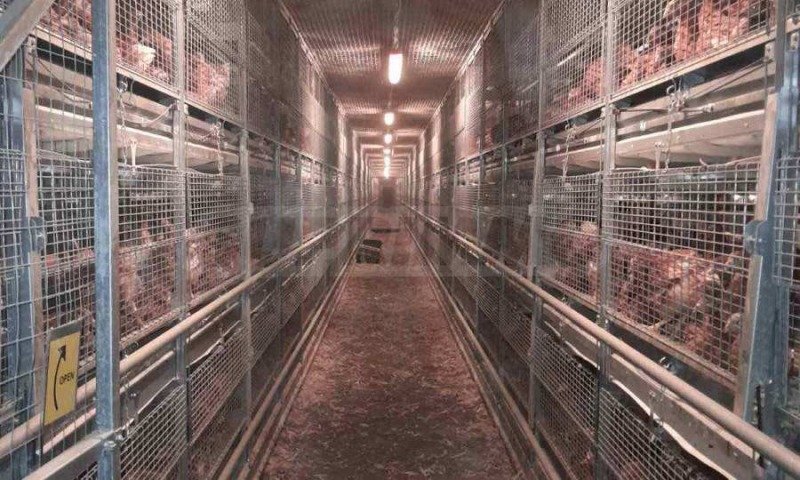 Продава БИЗНЕС ИМОТ, гр. Попово, област Търговище, снимка 4 - Други - 52317203