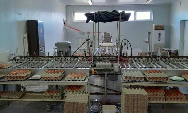 Продава БИЗНЕС ИМОТ, гр. Попово, област Търговище, снимка 7 - Други - 52317203