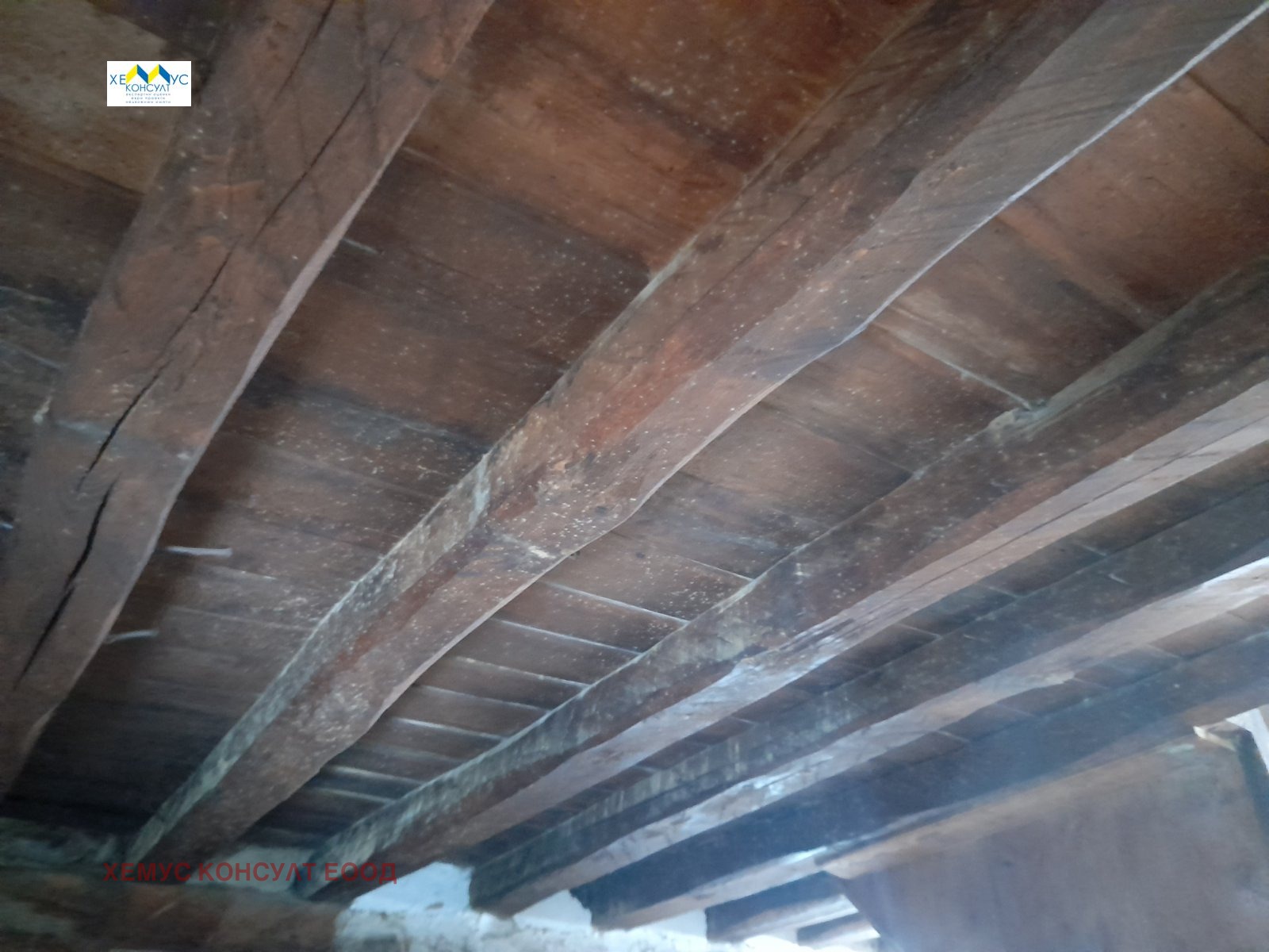 Продава КЪЩА, с. Орешак, област Ловеч, снимка 4 - Къщи - 51497996