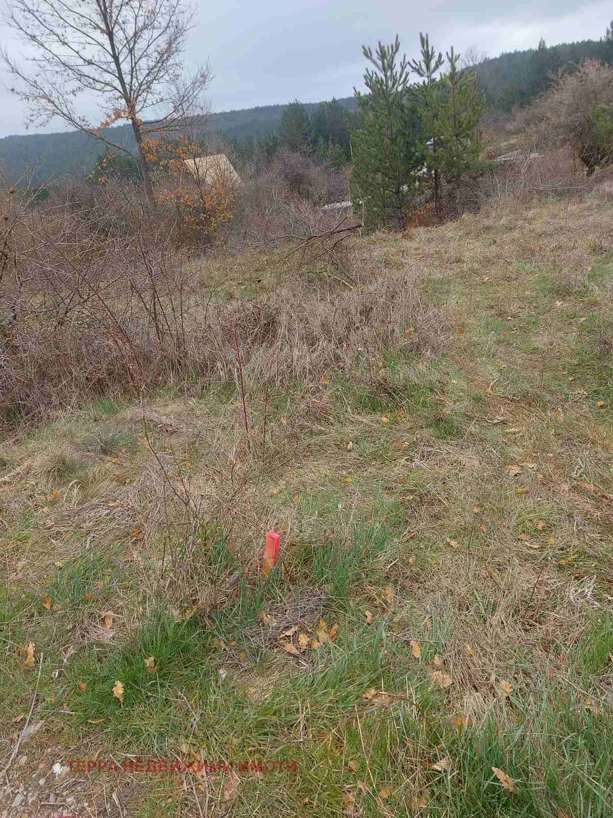 Продава ПАРЦЕЛ, гр. София, с. Подгумер, снимка 4 - Парцели - 54059436