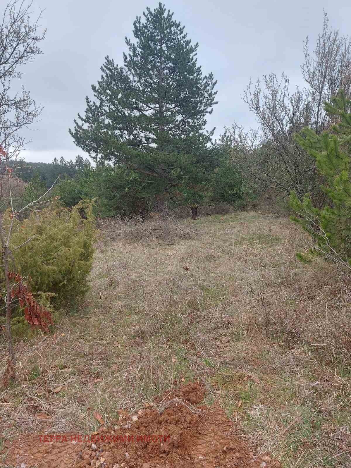 Продава ПАРЦЕЛ, гр. София, с. Подгумер, снимка 2 - Парцели - 54059436