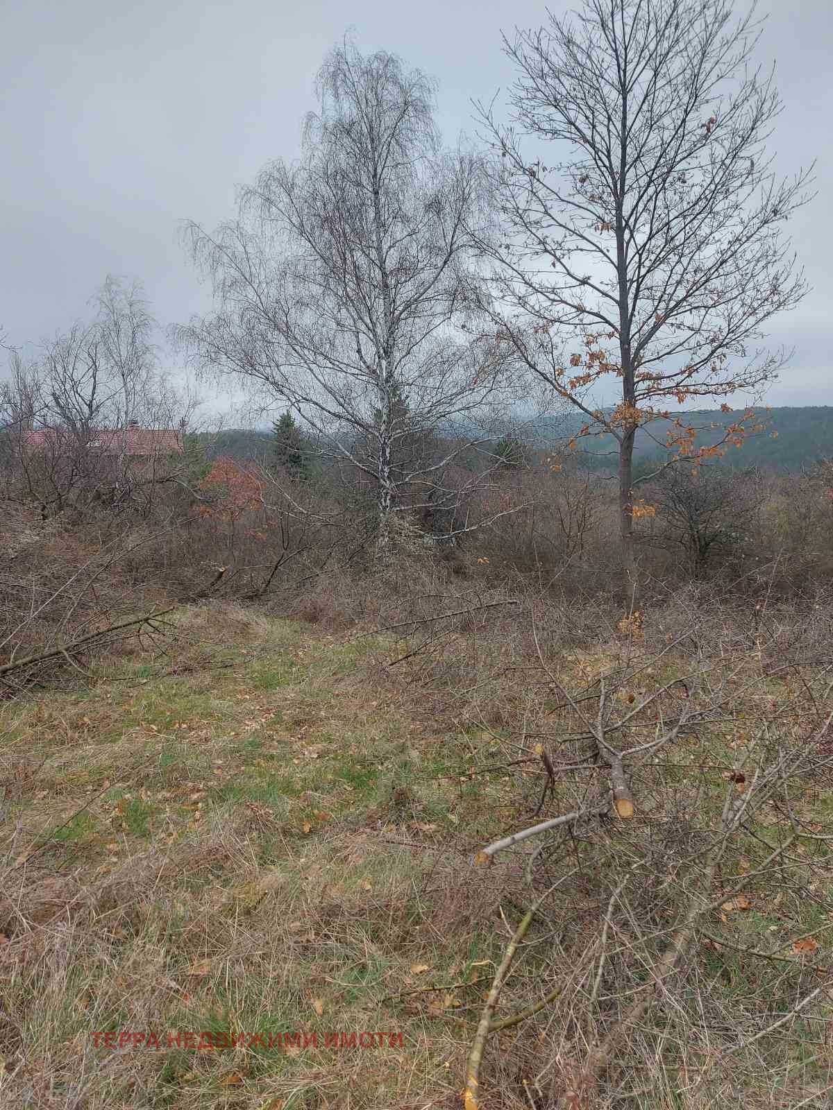 Продава ПАРЦЕЛ, гр. София, с. Подгумер, снимка 5 - Парцели - 54059436