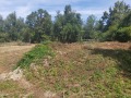 Продава КЪЩА, област Ловеч, с. Орешак • 115000 лв. • 15407552 — Holmes.bg