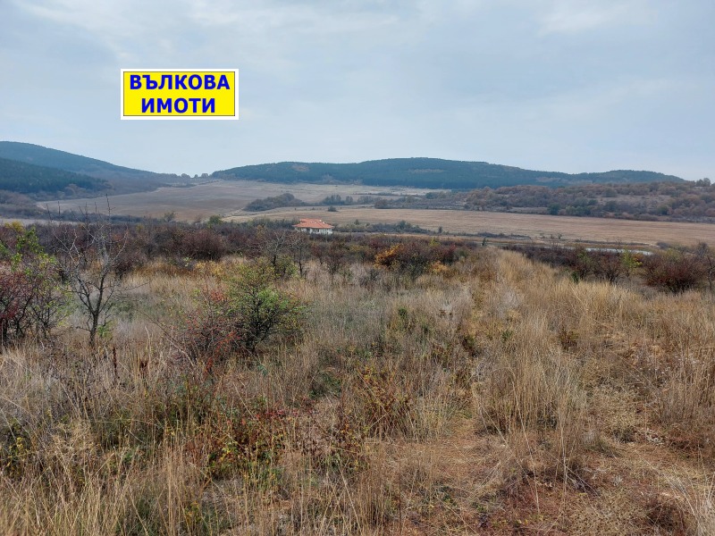 Продава ЗЕМЕДЕЛСКА ЗЕМЯ в област Стара Загора, с. Малка Верея - 5 дка / 87 000 € » 170 157.21 лв., ВЪЛКОВА ИМОТИ
