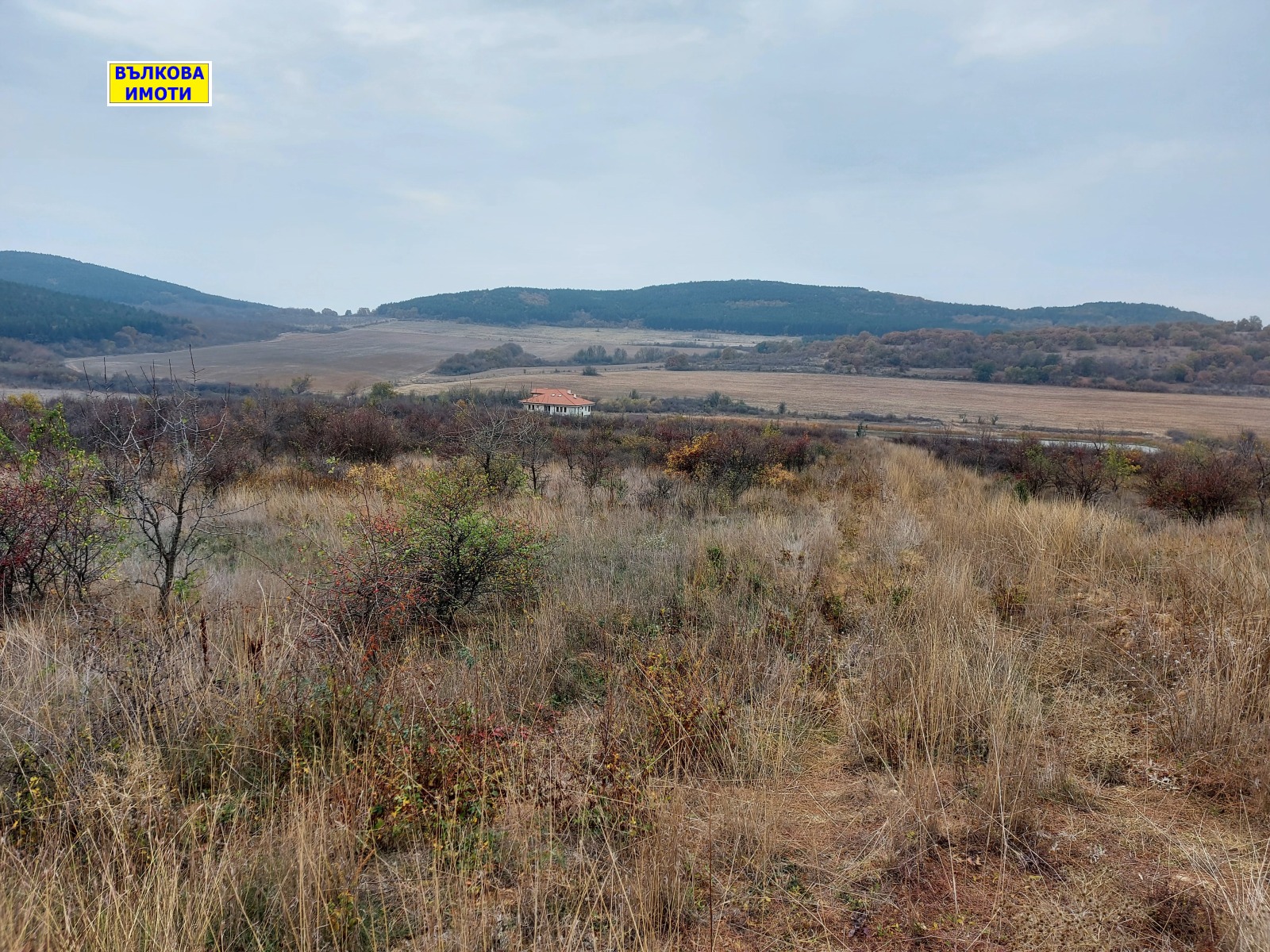 ������� ���������� ���� | Imot.bg � ����������� 1