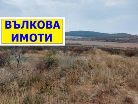 ����� ������� ���������� ����,�. ����� �����, ������ ����� ������