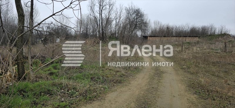 Продава ПАРЦЕЛ, с. Новоселци, област Видин, снимка 5 - Парцели - 55697400