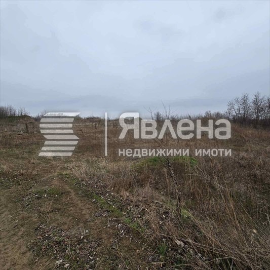 Продава ПАРЦЕЛ, с. Новоселци, област Видин, снимка 2 - Парцели - 55697400
