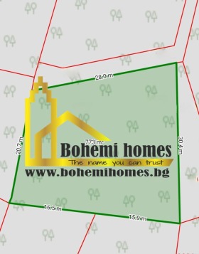 ����� ������� ������,�. �������, ������ �������