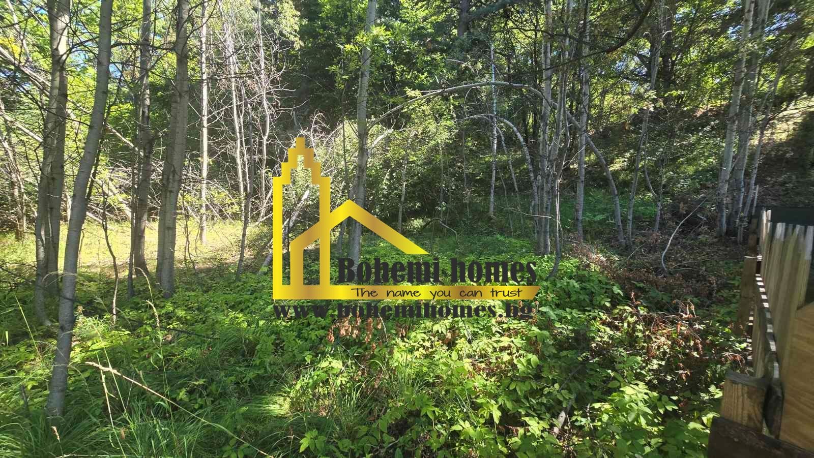 Продава ПАРЦЕЛ, с. Бойково, област Пловдив, снимка 2 - Парцели - 54126170