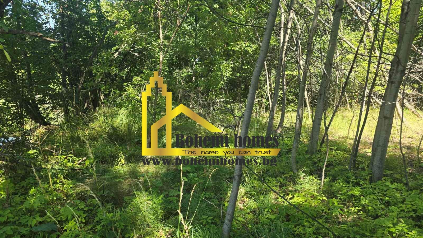 Продава ПАРЦЕЛ, с. Бойково, област Пловдив, снимка 4 - Парцели - 54126170