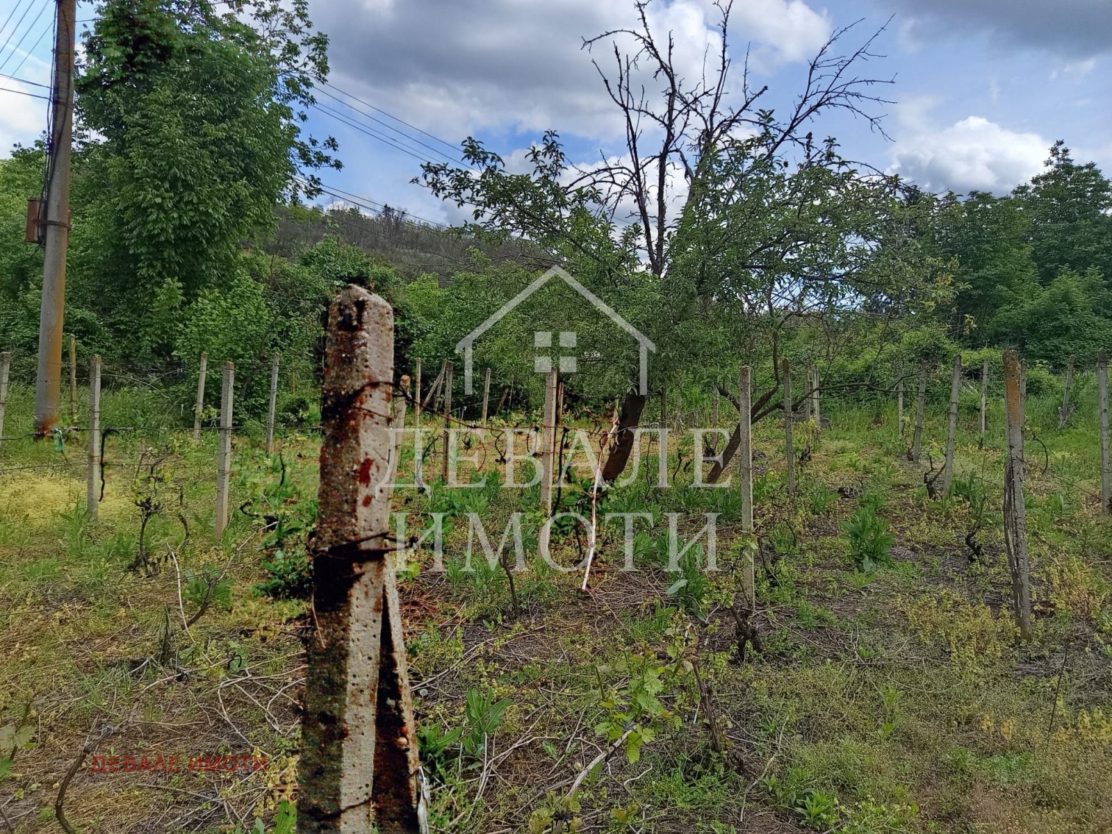 ������� ���� | Imot.bg � ����������� 10