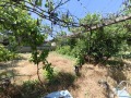 Продава КЪЩА, с. Крушето, област Велико Търново, снимка 12