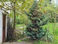 Продава ПАРЦЕЛ, град София, с. Бистрица • 480000 € / 938798.40 лв. • 19857042 5