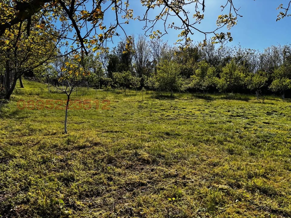 Продава ПАРЦЕЛ, гр. Козлодуй, област Враца, снимка 2 - Парцели - 54812470
