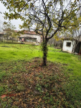 ������� ���� | Imot.bg � ����� ������ 11