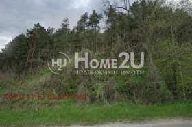 ����� ������� ������,�. ����� ����, ������ �����