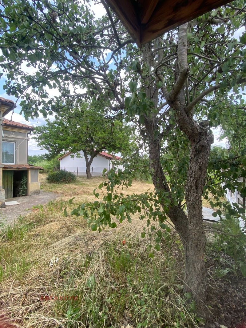 Продава КЪЩА, с. Смолница, област Добрич, снимка 7 - Къщи - 52154850