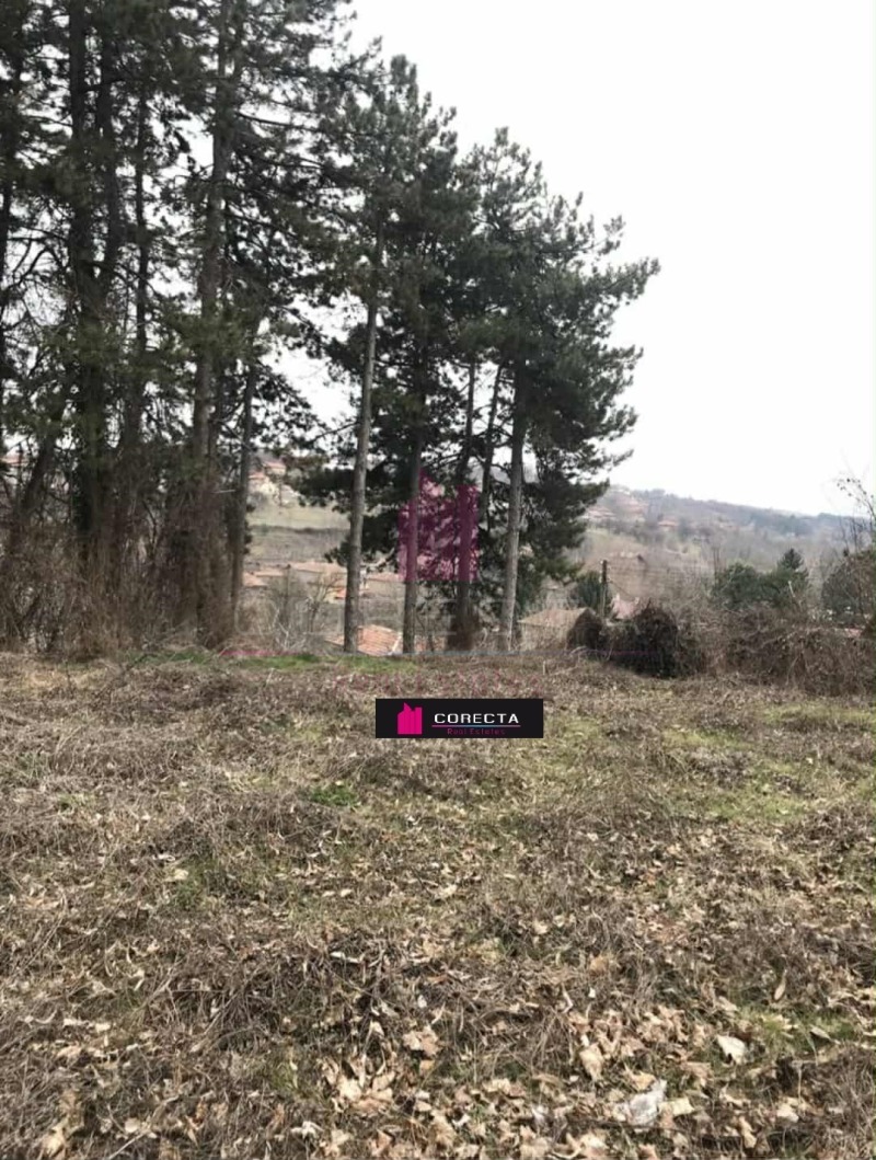 Продава КЪЩА, с. Пиргово, област Русе, снимка 4 - Къщи - 52329644