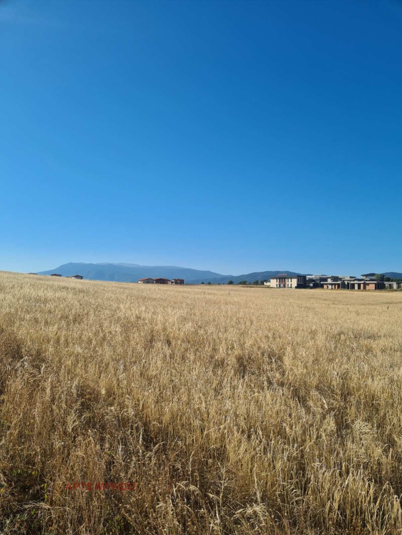 For Sale  Plot region Sofia , Gurmazovo , 1000 sq.m | 36565626 - image [2]