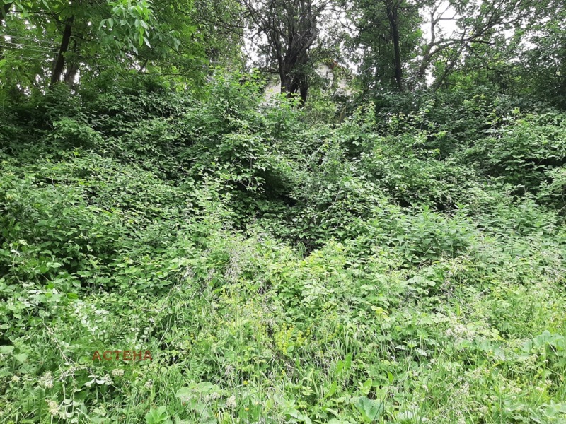 Zu verkaufen  Handlung region Sofia , Gara Lakatnik , 700 qm | 49294934 - Bild [8]