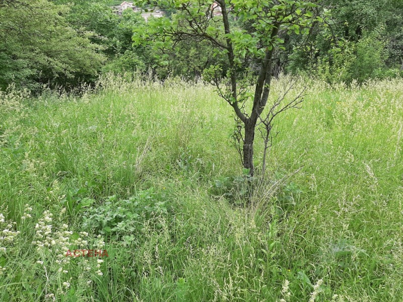 Zu verkaufen  Handlung region Sofia , Gara Lakatnik , 700 qm | 49294934 - Bild [6]
