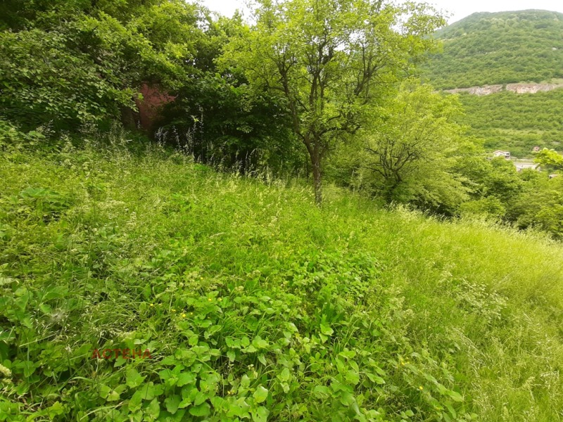 Zu verkaufen  Handlung region Sofia , Gara Lakatnik , 700 qm | 49294934 - Bild [2]