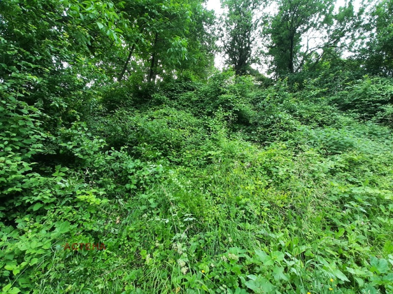 Zu verkaufen  Handlung region Sofia , Gara Lakatnik , 700 qm | 49294934 - Bild [4]