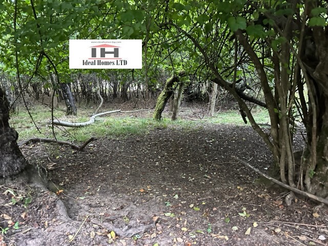 ������� ���� | Imot.bg � ����������� 13