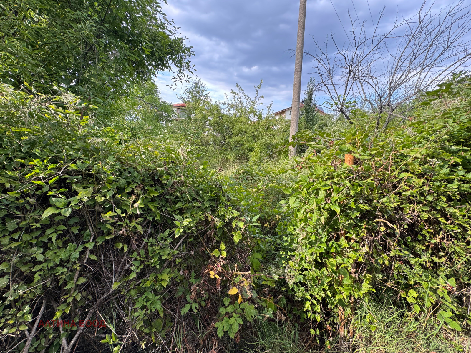 ������� ������ | Imot.bg � ����������� 2