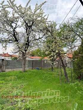 Hus Bistritsa, region Kyustendil 7