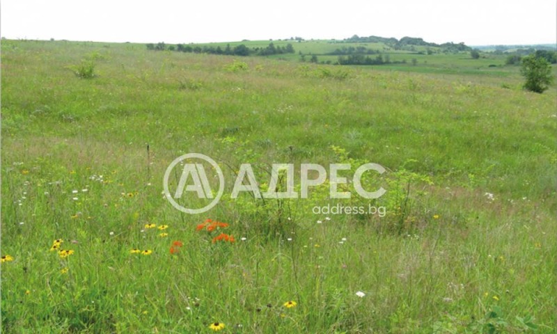 Na prodej  Spiknutí oblast Sofia , Cherakovo , 1500 m2 | 72164910