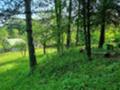 Продава ВИЛА, с. Круша, област София област, снимка 15