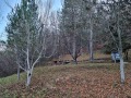 Продава ВИЛА, с. Круша, област София област, снимка 13