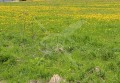 Продава ПАРЦЕЛ, област Пловдив, с. Ведраре • 3400 € • 45648345 — Holmes.bg