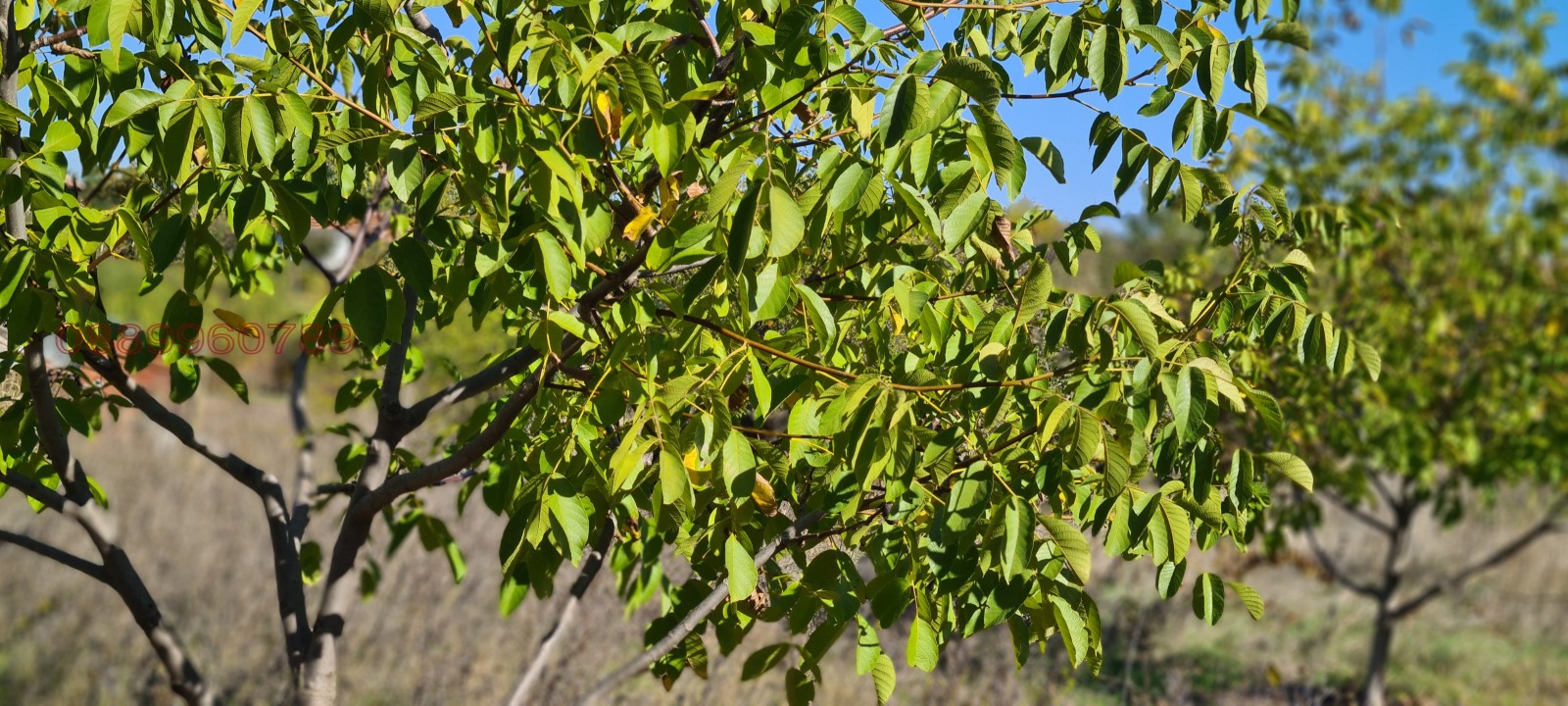 Продава ПАРЦЕЛ | Imot.bg — изображение 4