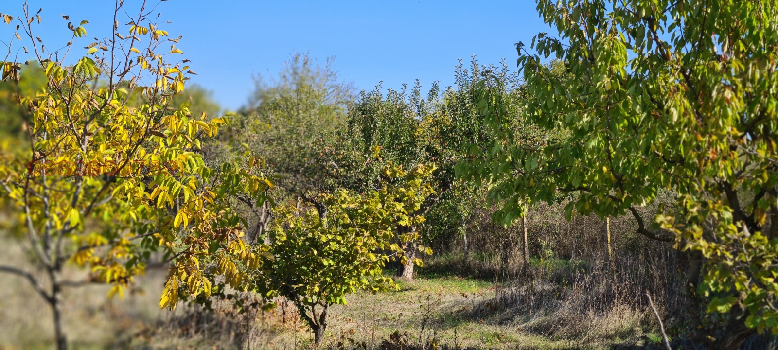 Продава ПАРЦЕЛ | Imot.bg — изображение 5