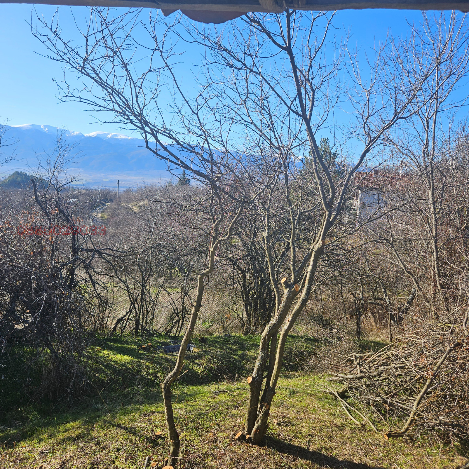 ������� ������ | Imot.bg � ����������� 7