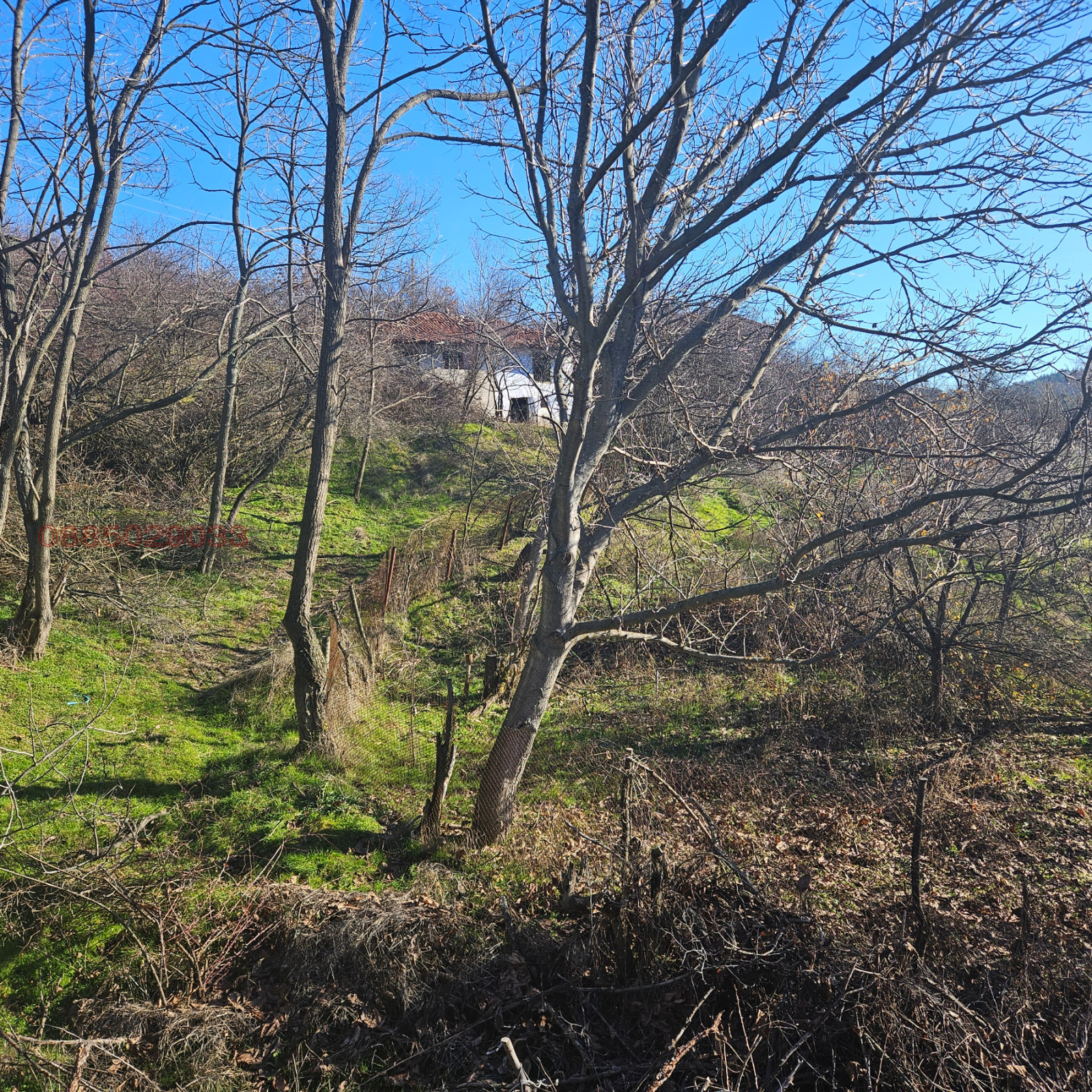 ������� ������ | Imot.bg � ����������� 8