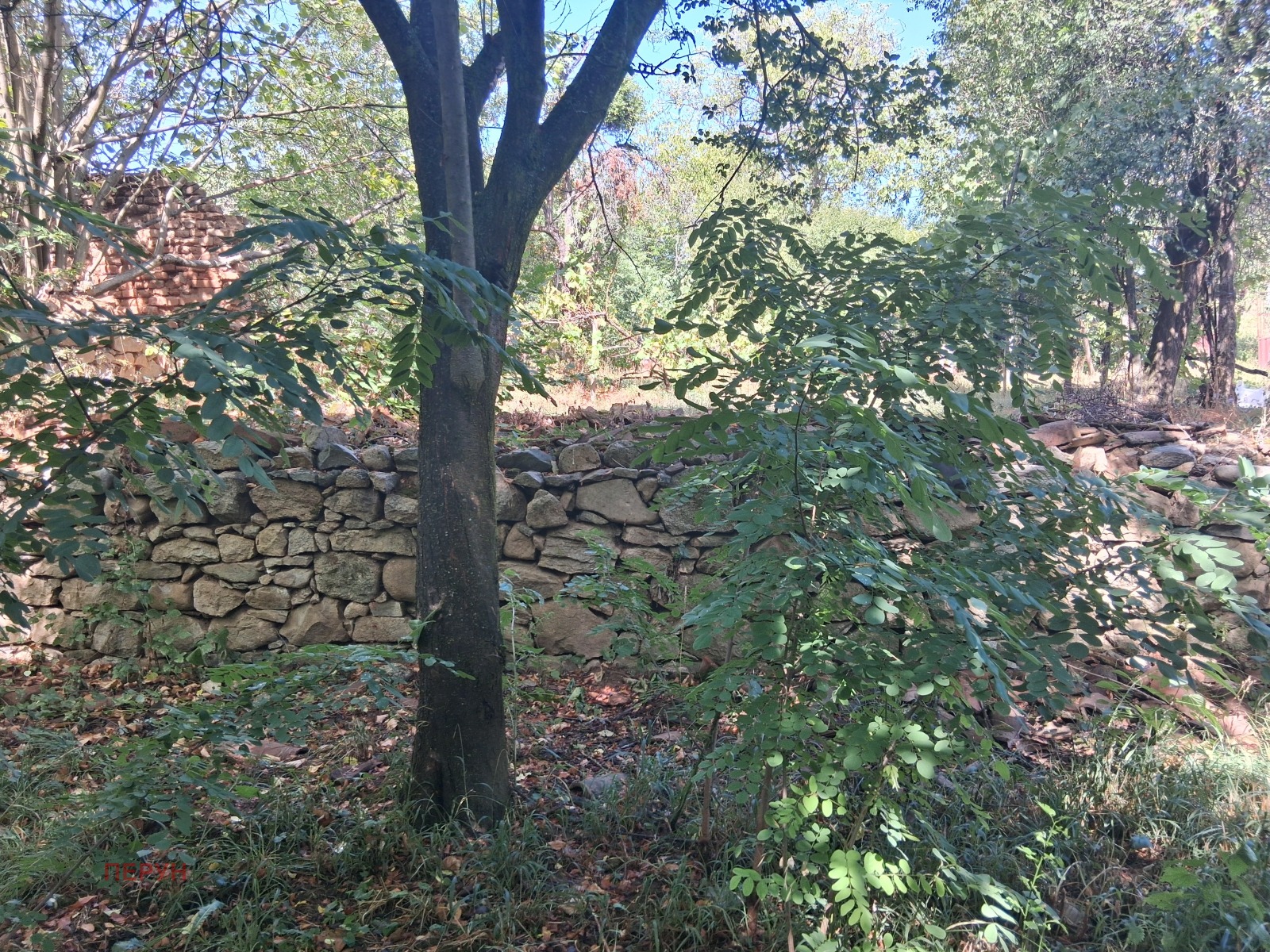 ������� ������ | Imot.bg � ����������� 13