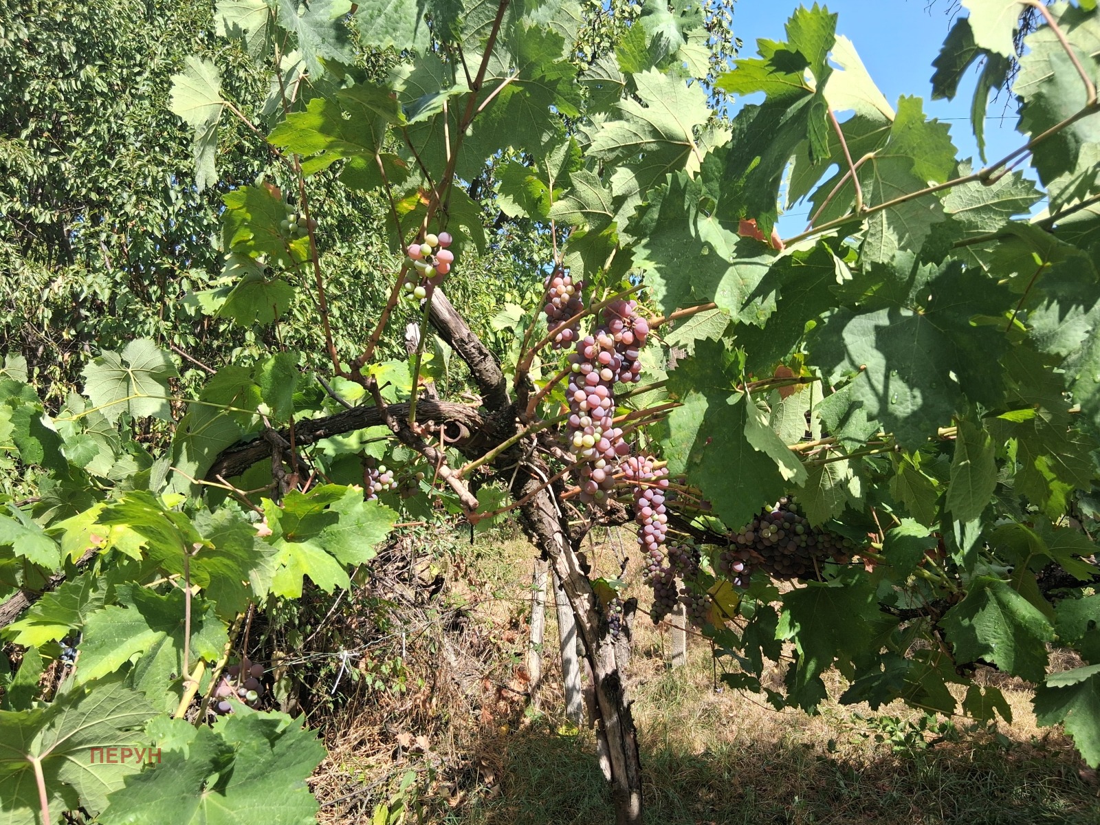 ������� ������ | Imot.bg � ����������� 8