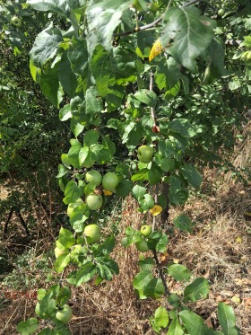 ������� ������ | Imot.bg � ����� ������ 12