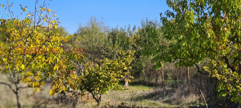 Продава ПАРЦЕЛ, с. Малорад, област Враца, снимка 5 - Парцели - 52780602